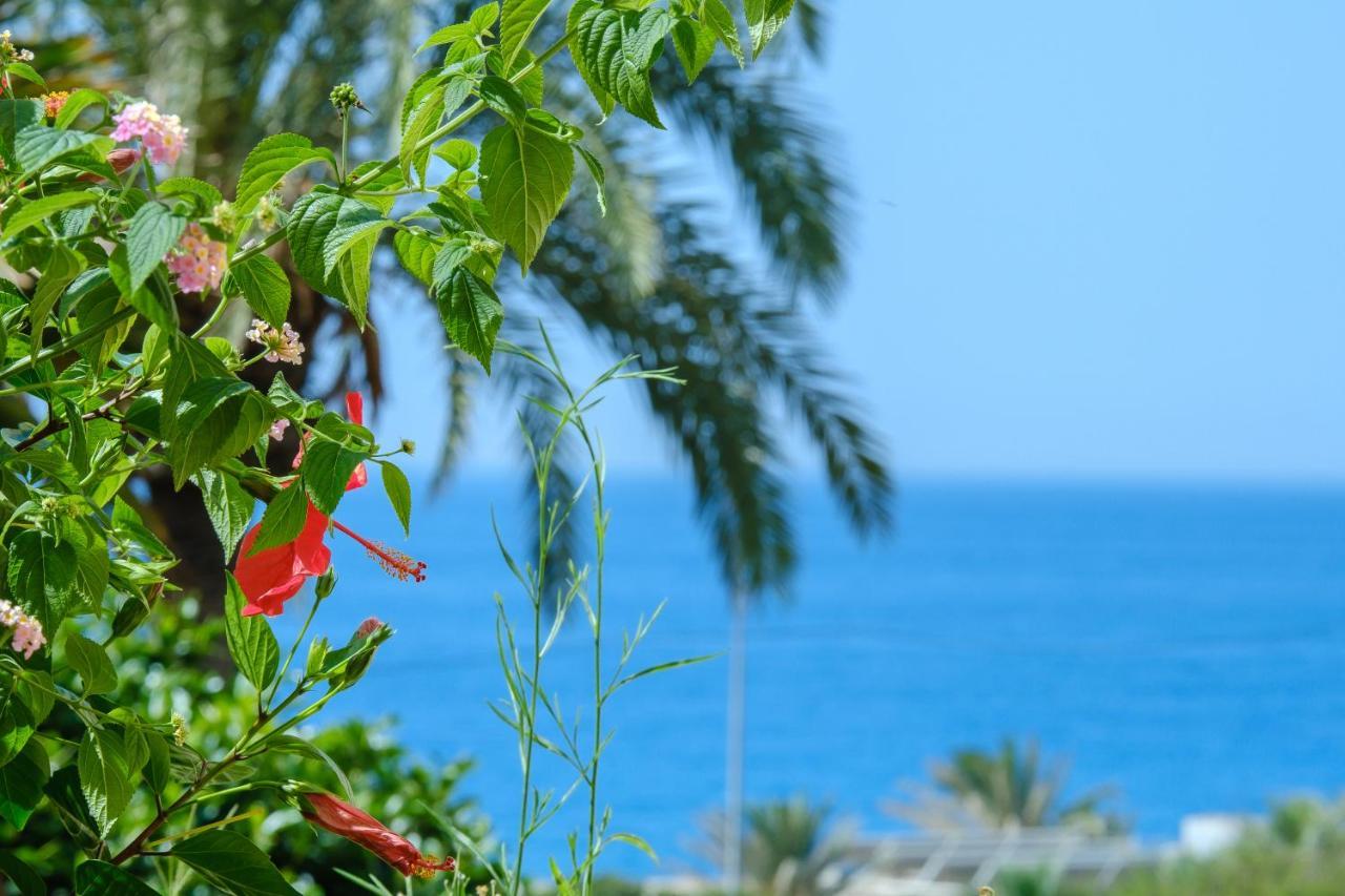 Beautiful Torreoceano 92, Pool, Beach Access La Cala De Mijas Extérieur photo